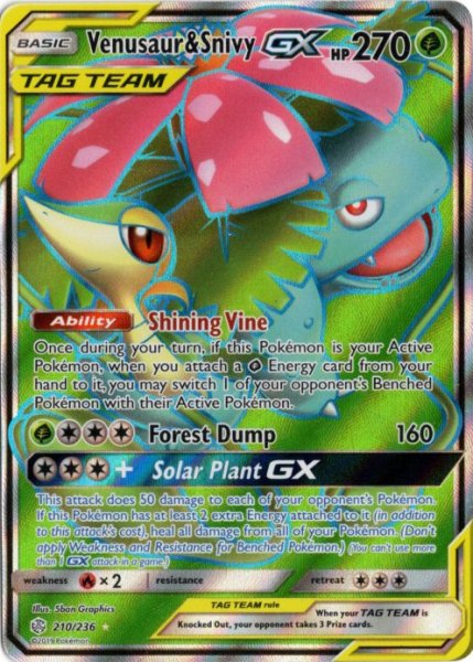 画像1: フシギバナ&ツタージャGX　SR　海外版 英語版　Venusaur & Snivy GX - 210/236 - (1)