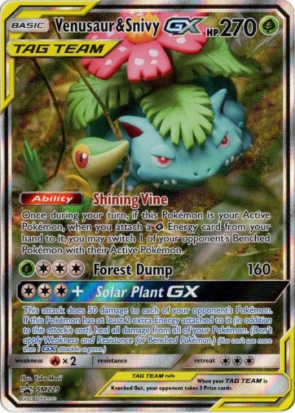 画像1: フシギバナ&ツタージャGX　SR SA　海外版 英語版　プロモ　Venusaur & Snivy GX - SM229 - (1)